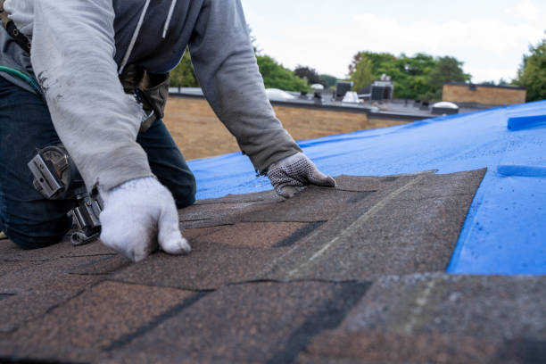 Best Green or Eco-Friendly Roofing Solutions  in Solana, FL
